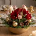 Blomsterplugg julegavepakke dekorasjon 2,5cm 15 stk | Floristik24.no