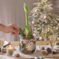 Dekorativ glassvase lanterne glass klar Ø18cm H20cm | Floristik24.no