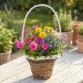 Håndtakskurv, naturlig kurv for planting, blomsterkurv rund natur, hvit H49cm Ø23,5cm | Floristik24.no