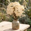Kunstig ryllik krem Achillea kunstige blomster 30 cm 6 stk | Floristik24.no