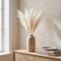 Tørkede blomster, sølvgress. Elegant naturlig dekorasjon for hjem og kontor. 70 cm, 10 stk. | Floristik24.no