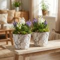 Dekorativ potte hvitet bjørk plantepotte Ø18cm H15cm 2stk | Floristik24.no