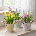 Plantebøtte, metallpotte med håndtak, dekorativ blomsterkasse, rosa/grønn/gul, shabby chic, Ø12 cm, H10 cm, sett med 3 | Floristik24.no