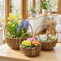 3-delt piletrekurvsett, naturlige farger med håndtak, vintage plantekurver Ø32/28/22cm, dekorativ kurv, gavekurv, påskekurv | Floristik24.no