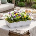 Stikkontaktskål Lara 15cm x 8cm x 4cm 10stk | Floristik24.no