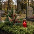 Dekorativ mosetørket skogsmosegrønn naturdekor 300g | Floristik24.no