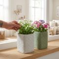 Plantekar keramisk hvit grønn relieff mesh 12x12cm H17,5cm 2stk | Floristik24.no