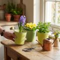 Papir cachepot, plantekasse, potte for planting blå/grønn Ø13cm H12,5cm 4stk | Floristik24.no