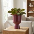 Blomsterpotte, koppformet, moderne stil, dekorativ for ethvert hjem og kontor, 23 cm | Floristik24.no