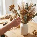 Salignum grein lys leucadendron blomster på grein 25 stk | Floristik24.no