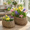 Plantekurv med håndtak kurv blomsterkurv L23/35cm sett med 2 | Floristik24.no