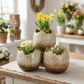 Plantepotte Keramisk Egg Broken Cream Brun Ø9,5cm 3 Stk | Floristik24.no