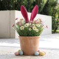 Kanin dekorative ører rosa til påske flokket pinne H56cm | Floristik24.no