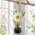 Valmue i et glass for å henge hvit H22cm | Floristik24.no
