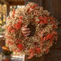 Dekorativ krans tørkede blomster blomsterkrans appelsinkrem Ø25cm | Floristik24.no