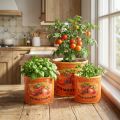 Tomatplantepottesett, dekorative blomsterpotter i keramikk for kjøkken og retrodekor, 14 cm, sett med 3 | Floristik24.no