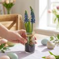 Hyacinth kunstig Perlehyacinth blå i glass H22cm 2stk | Floristik24.no