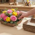 Oasis Biolit Basic Blomsterskum 13x13x2cm 12-delers sett Blomsterdekorasjon DIY | Floristik24.no
