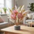 Blomsterskum sylinder tørr plug-in compound grå H5cm Ø8cm 20 stk | Floristik24.no