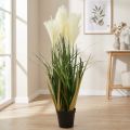 Rørgress i potte Kunstig potteplante Krem, Grønn 79cm | Floristik24.no