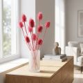 Vill teasel tørket dekorasjon, rosa tistler, 53 cm, 10 hoder | Floristik24.no