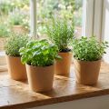 Plantekar, blomsterpotte, papirpottepotte natur Ø15cm H13cm 4stk | Floristik24.no