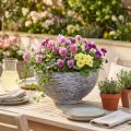 Skål rund planteskål grå sort Ø45cm H22,5cm | Floristik24.no
