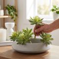 Kunstige sukkulenter Kunstige planter Grønn Ø10cm 4 stk | Floristik24.no