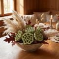 Lotus kolbeblanding grønn vasket Ø6cm - 10cm 50 stk | Floristik24.no