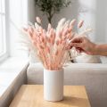 Phalaris rosa skinnende gress tørket tørr dekorasjon 65cm 60g | Floristik24.no