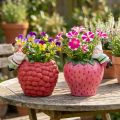 Keramisk potteplanter kantoppheng dverg Ø14,5cm 2stk | Floristik24.no