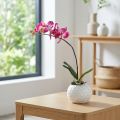 Kunstige orkideer i potte Phalaenopsis kunstige blomster orkideer rosa 34cm | Floristik24.no