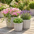 Stor plantekurv med folie, hvitgrå, Ø43/34/28 cm, sett med 3 stk. | Floristik24.no