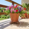 Blomsterpotteføtter, praktisk forhøyer, pottetilbehør for balkong og terrasse, 7 cm, 3 stk. | Floristik24.no