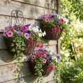 Hengende kurvplanter metall rust utseende H30/33,5/40cm sett med 3 | Floristik24.no