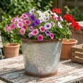 Blomsterpotte med håndtak, dekorativ skål med rustfinish, sølvfarget metallbeholder Ø26 cm H25,5 cm | Floristik24.no