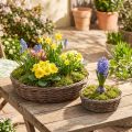 Plantering, planteskål, tre, naturgrå, Ø30/35 cm, sett med 2. | Floristik24.no