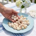Blåskjell Umachi 500 g | Floristik24.no