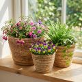 Sett med blomsterkurver i rotting, naturlig/brun, 3 deler, Ø26/22/16 cm – Dekorativt og allsidig | Floristik24.no