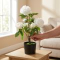 Kunstig Paeonia, pion i potte, dekorativ plante hvite blomster H57cm | Floristik24.no