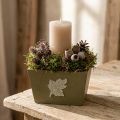 Treblomsterkasse, shabby chic-stil, grønn, 11 × 14,5 × 14 cm | Floristik24.no