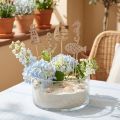 Blomsterplugger maritime dekorative plugger tre 7cm 12stk | Floristik24.no