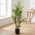 Fern i pottegrønn 80cm | Floristik24.no