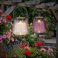 LED Hagelys Glass Solar for Hengende Lilla Ø10,5cm 2stk | Floristik24.no