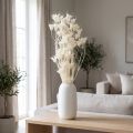 Tørkede Nigella-blomster, bukett med elegant naturlig dekorasjon for eksklusivt interiør, 70 cm, 50 g | Floristik24.no