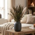 Tørkede blomster Setaria Antrasitt Naturlig Bust Hirse Bunch 100g | Floristik24.no