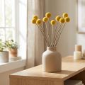 Craspedia tørkede blomster, gule, 70 cm, dekorative, 10 stk. | Floristik24.no