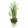 Floristik24 Fritilaria i eggeskallet for å henge kunstig grønt, hvitt 25cm