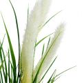 Floristik24 Foxtail gressgrønn, hvit 63cm