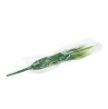 Floristik24 Foxtail gressgrønn, hvit 63cm